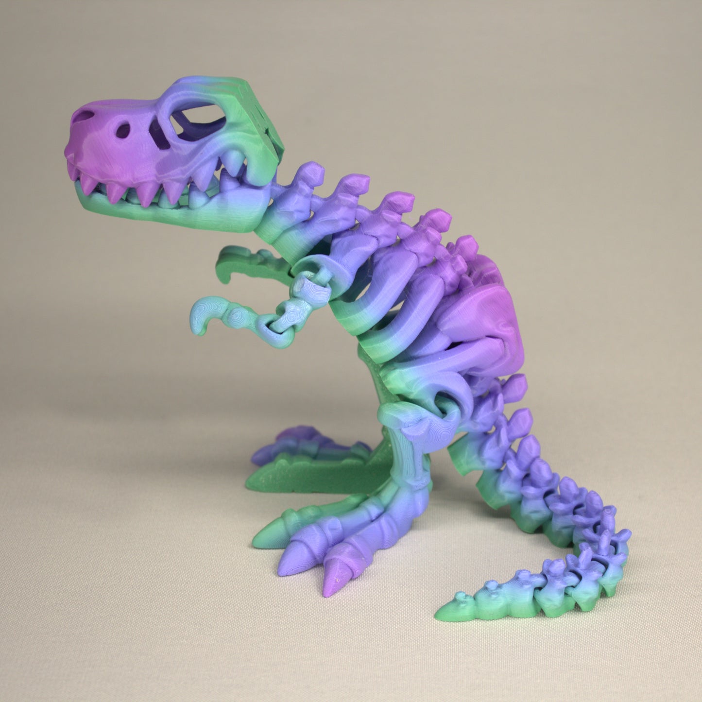T-Rex 3D Printed Dinosaur Skeleton Fidget Toy Flexible Joints