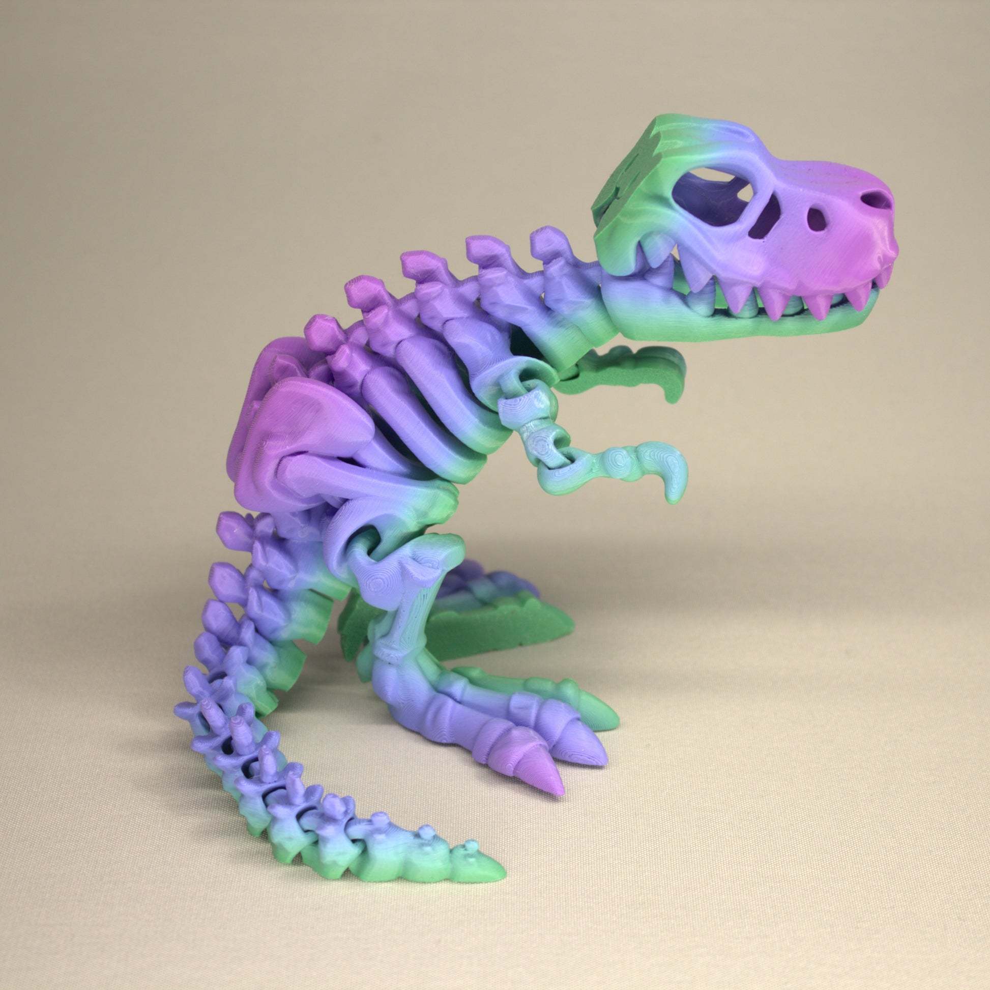 T-Rex 3D Printed Dinosaur Skeleton Fidget Toy Flexible Joints