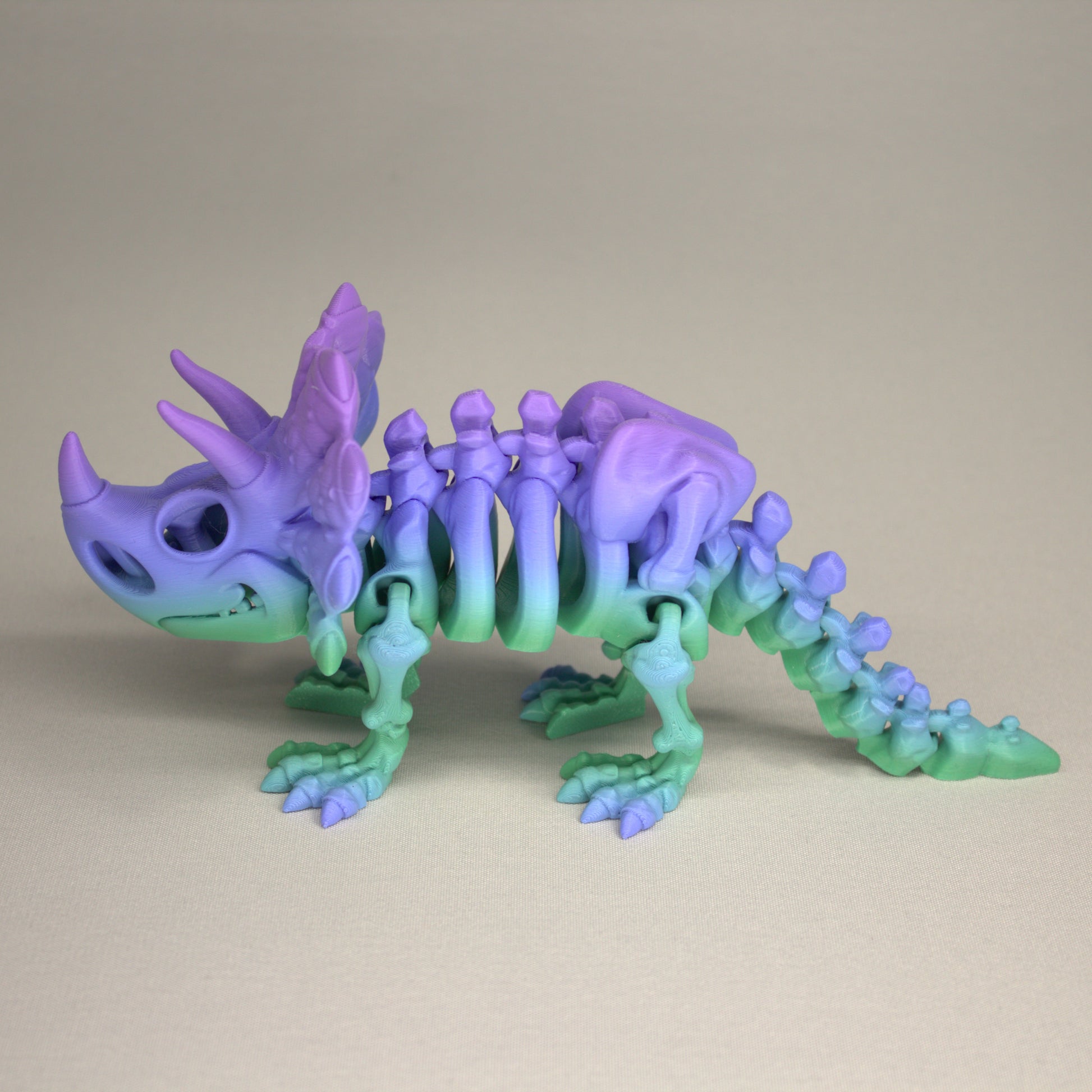 Triceratops - 3D Printed Dinosaur Skeleton Fidget Toy Flexible Joints