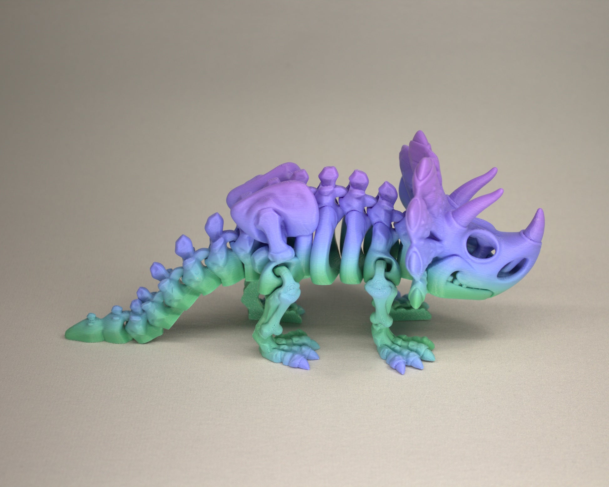 Triceratops - 3D Printed Dinosaur Skeleton Fidget Toy Flexible Joints