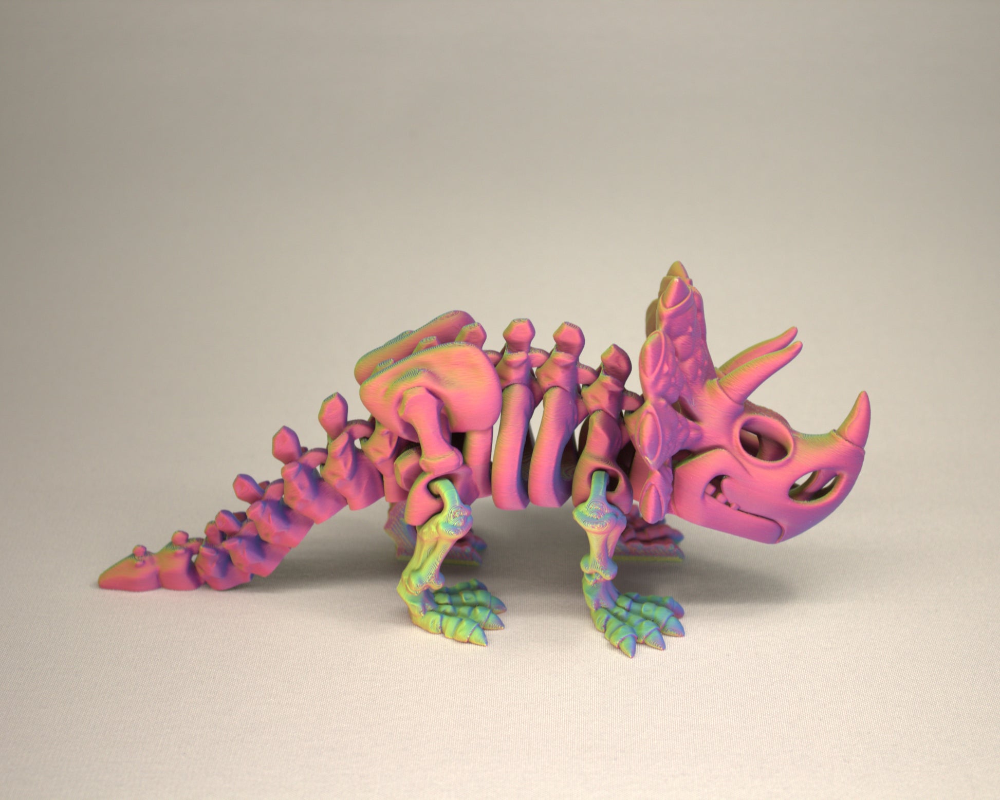 Triceratops - 3D Printed Dinosaur Skeleton Fidget Toy Flexible Joints