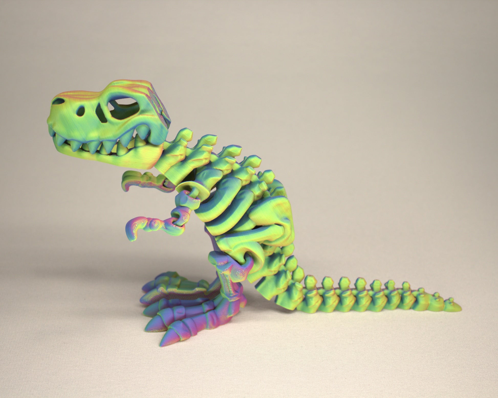 T-Rex 3D Printed Dinosaur Skeleton Fidget Toy Flexible Joints