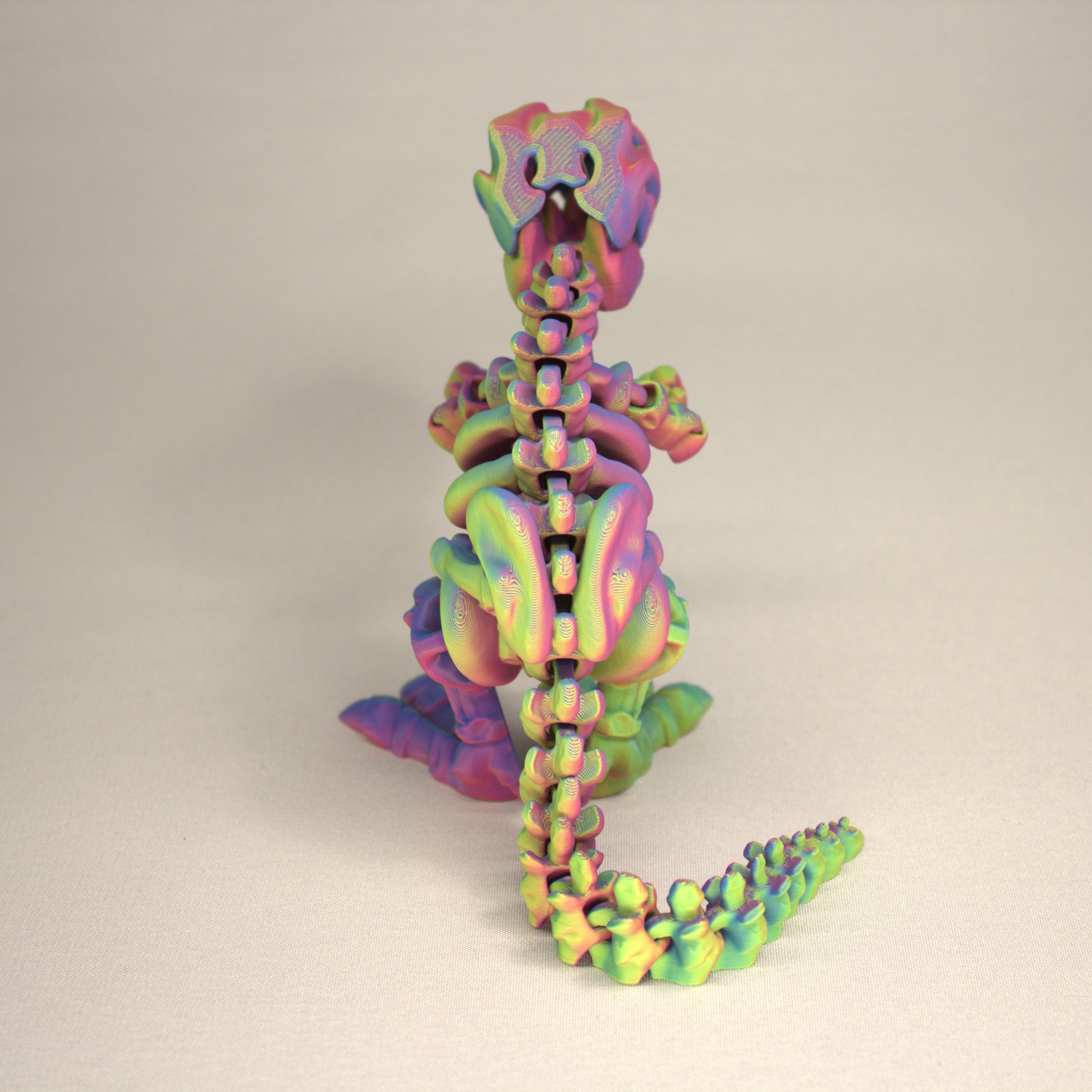 T-Rex 3D Printed Dinosaur Skeleton Fidget Toy Flexible Joints