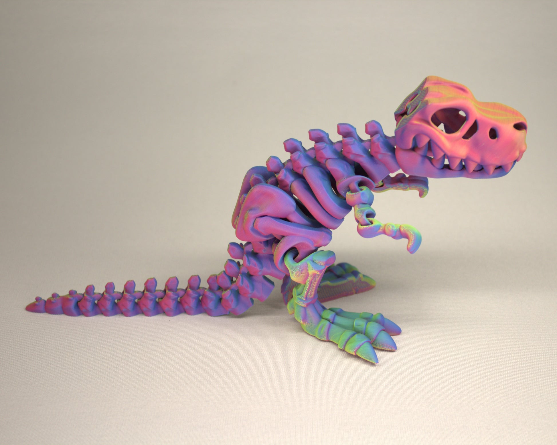 T-Rex 3D Printed Dinosaur Skeleton Fidget Toy Flexible Joints