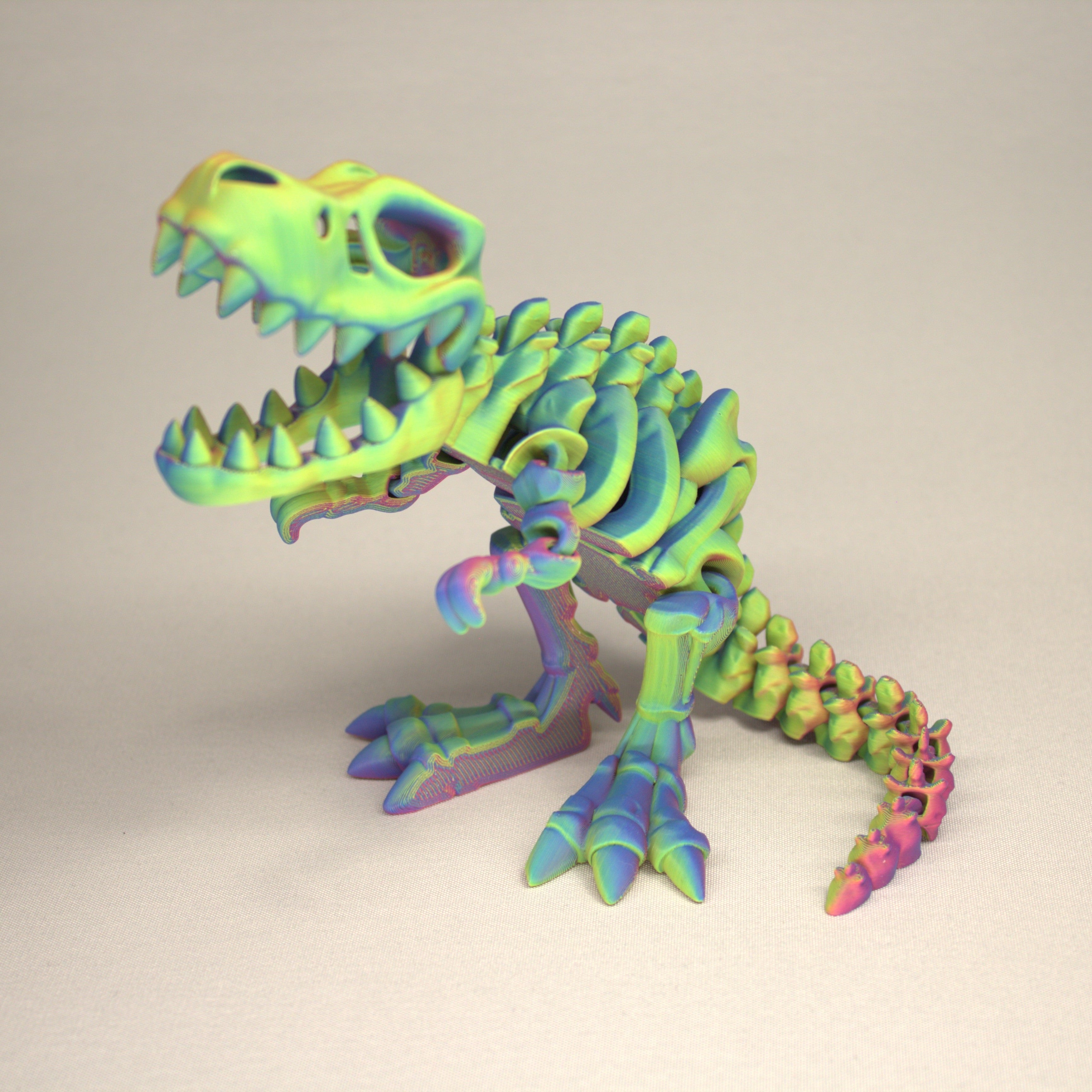 T-Rex 3D Printed Dinosaur Skeleton Fidget Toy Flexible Joints