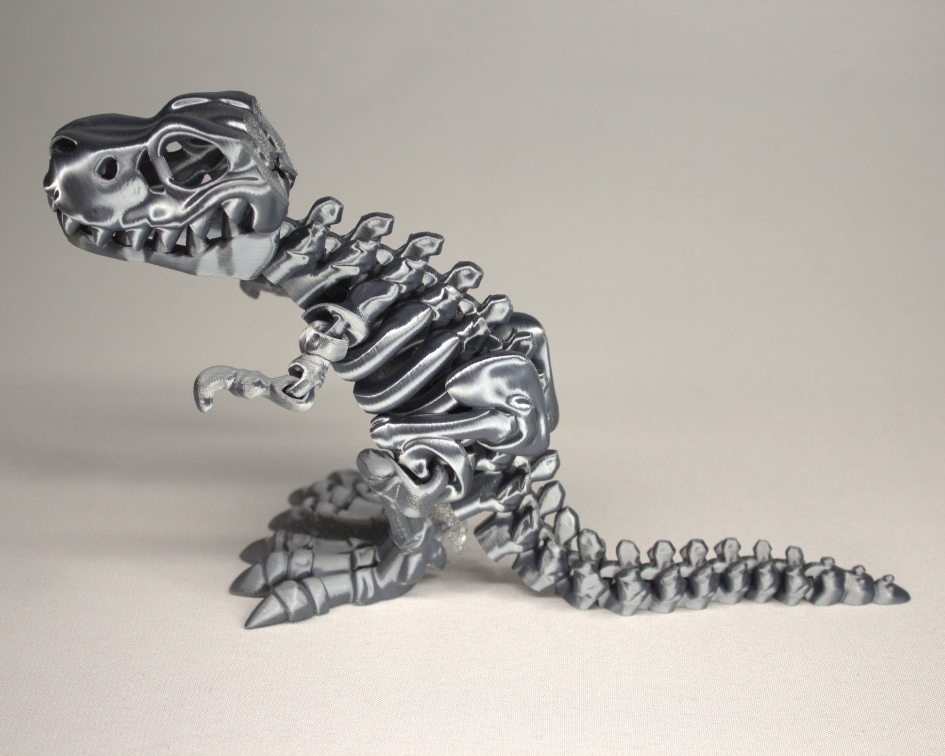 T-Rex 3D Printed Dinosaur Skeleton Fidget Toy Flexible Joints