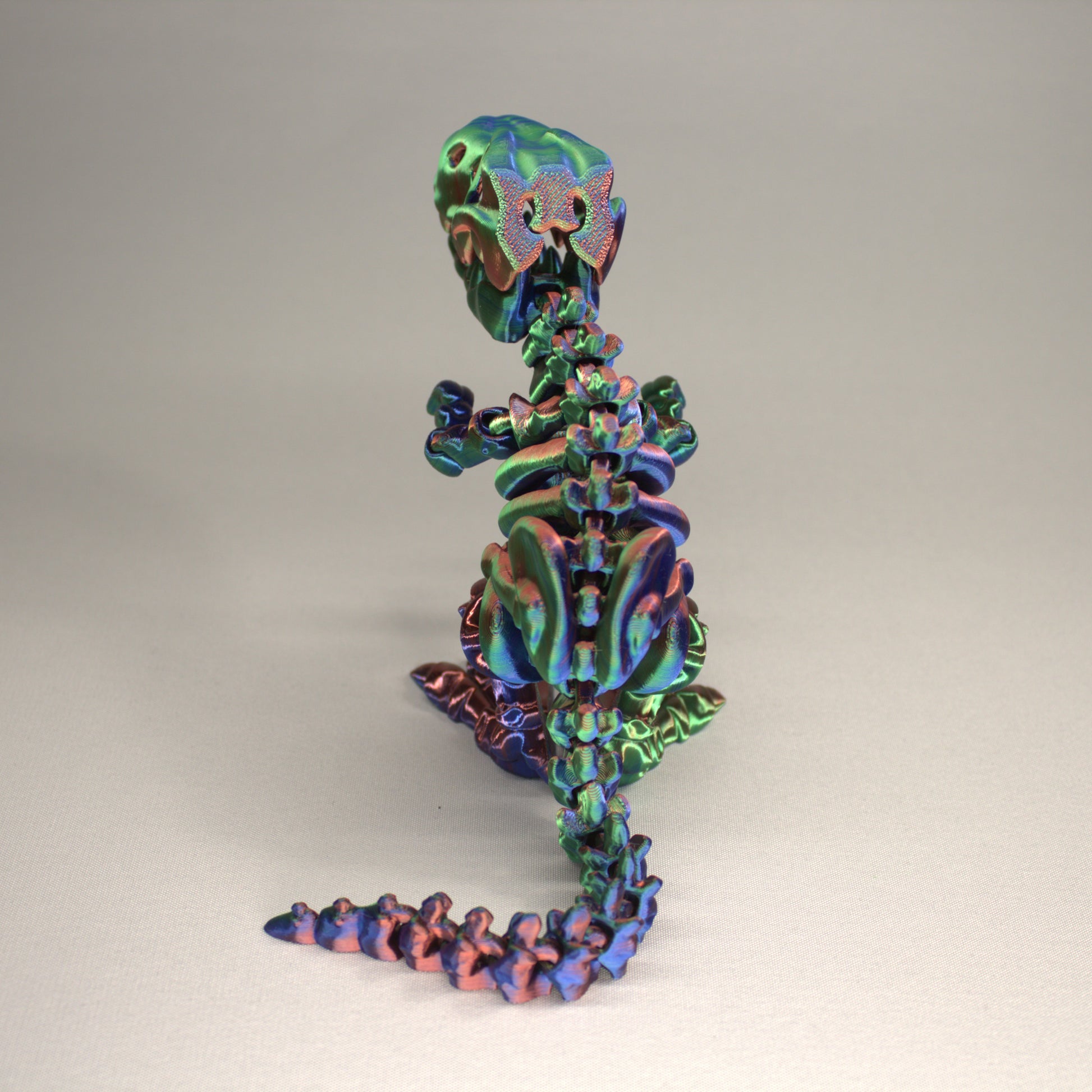 T-Rex 3D Printed Dinosaur Skeleton Fidget Toy Flexible Joints