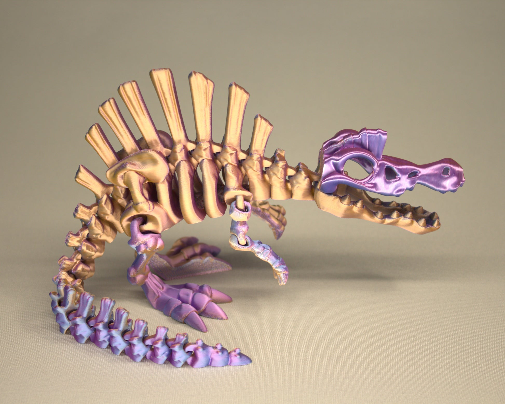 3D printed articulated Spinosaurus skeleton toy, pre-assembled, colorful, educational dinosaur figure