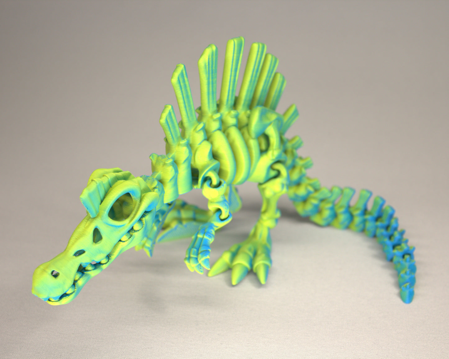 3D printed articulated Spinosaurus skeleton toy, pre-assembled, colorful, educational dinosaur figure