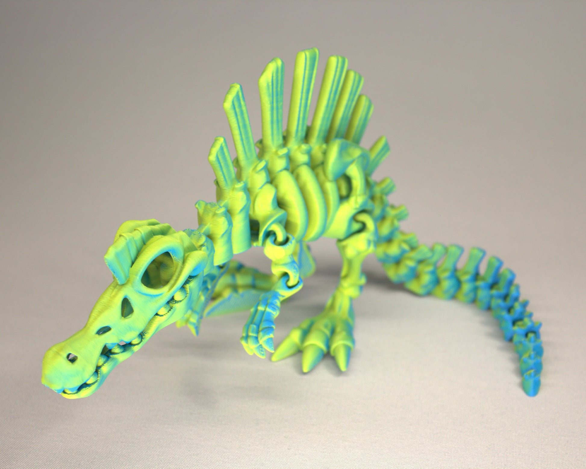 3D printed articulated Spinosaurus skeleton toy, pre-assembled, colorful, educational dinosaur figure
