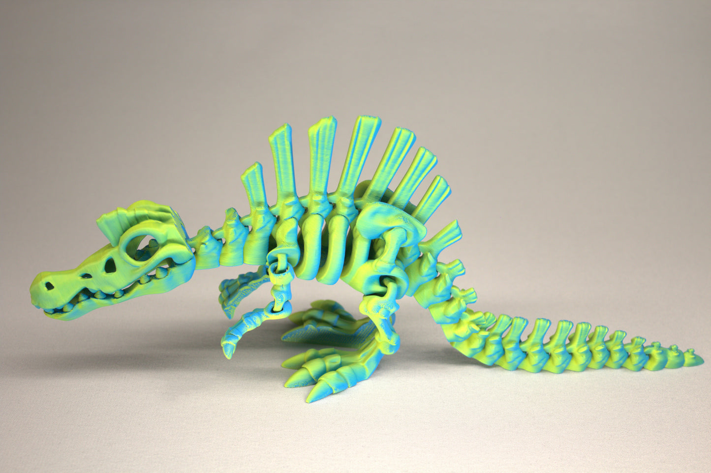 3D printed articulated Spinosaurus skeleton toy, pre-assembled, colorful, educational dinosaur figure