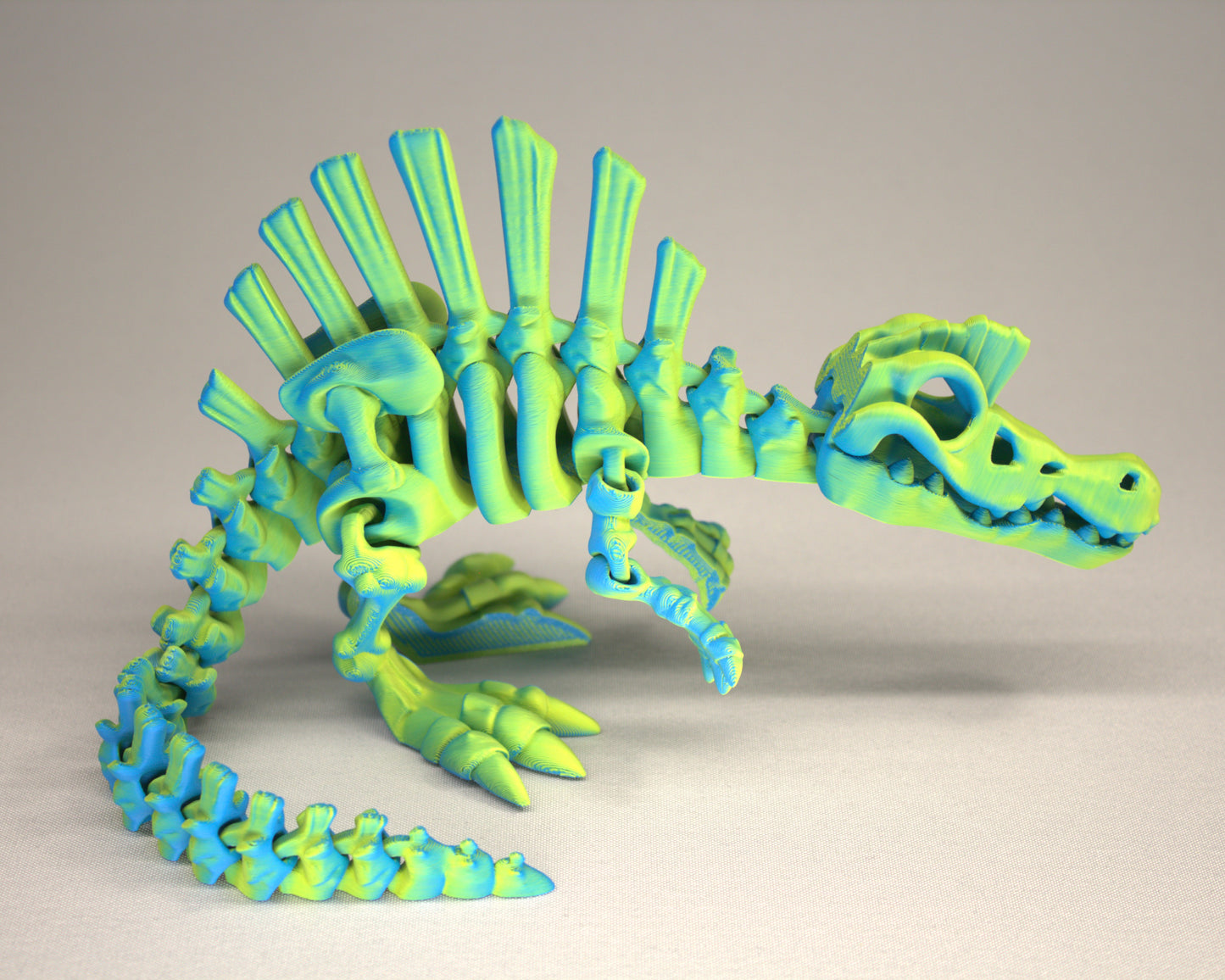 3D printed articulated Spinosaurus skeleton toy, pre-assembled, colorful, educational dinosaur figure