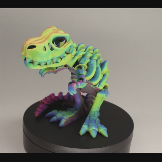 T-Rex 3D Printed Dinosaur Skeleton Fidget Toy Flexible Joints