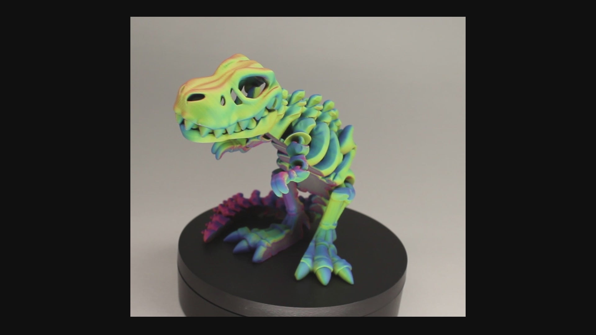 T-Rex 3D Printed Dinosaur Skeleton Fidget Toy Flexible Joints