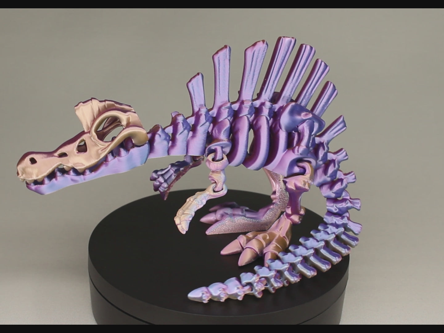 3D printed articulated Spinosaurus skeleton toy, pre-assembled, colorful, educational dinosaur figure