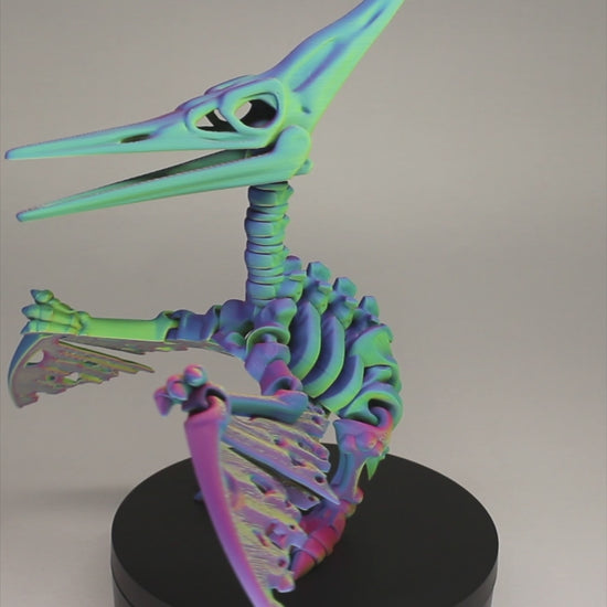 Pteranodon - 3D Printed Dinosaur Skeleton Fidget Toy Flexible Joints