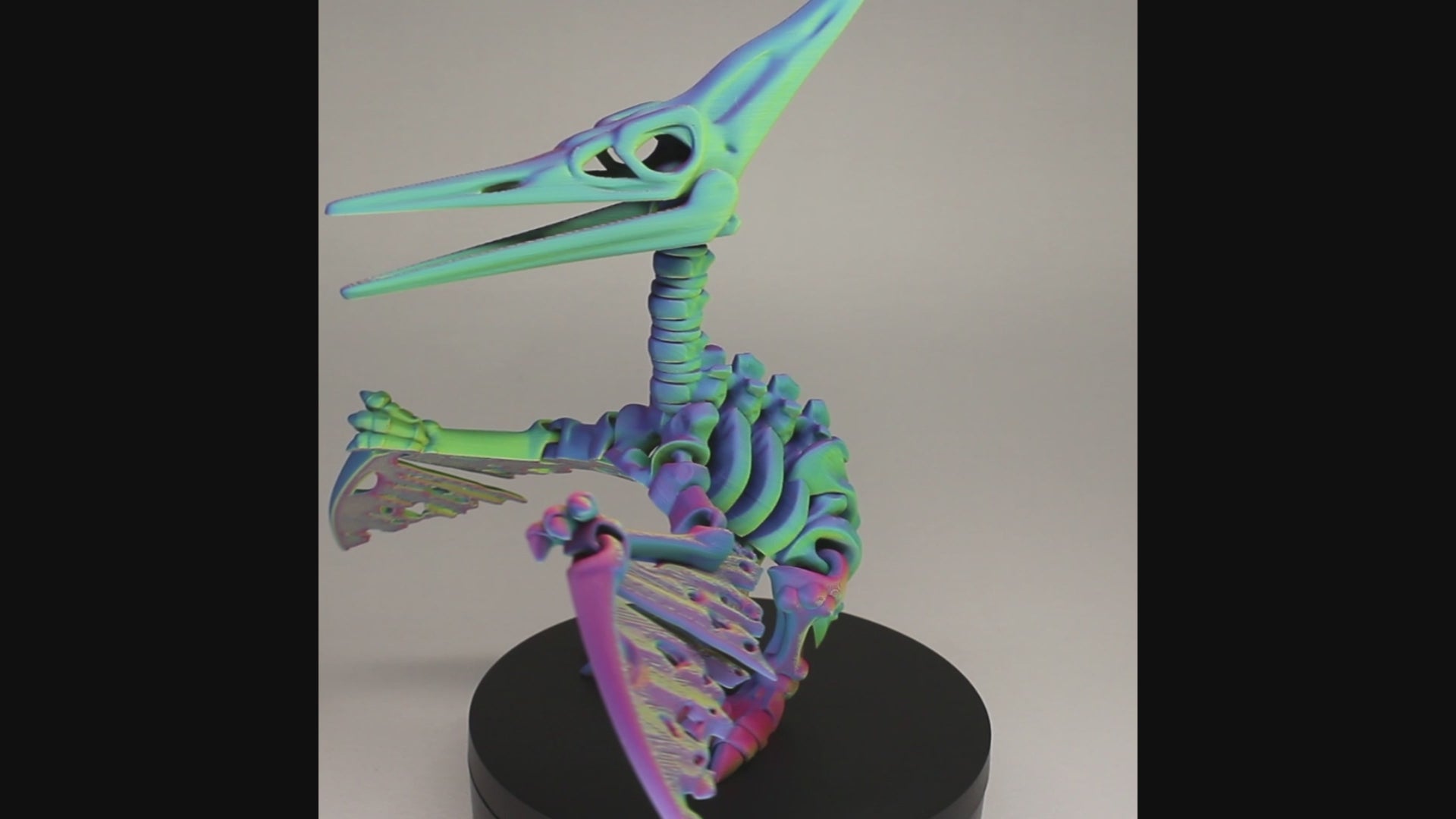 Pteranodon - 3D Printed Dinosaur Skeleton Fidget Toy Flexible Joints