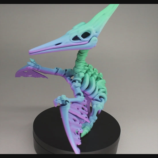 Pteranodon - 3D Printed Dinosaur Skeleton Fidget Toy Flexible Joints