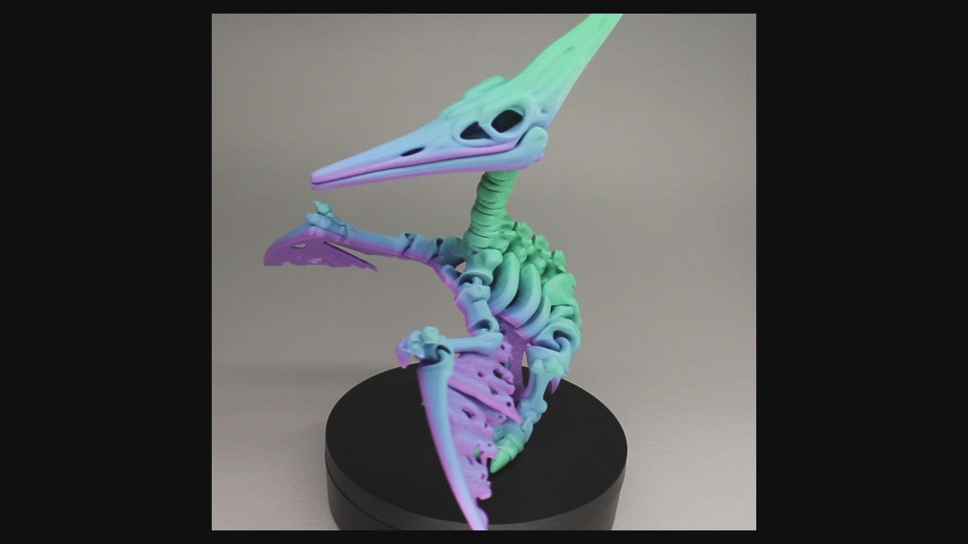 Pteranodon - 3D Printed Dinosaur Skeleton Fidget Toy Flexible Joints