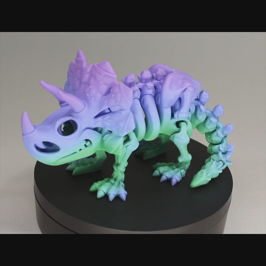 Triceratops - 3D Printed Dinosaur Skeleton Fidget Toy Flexible Joints