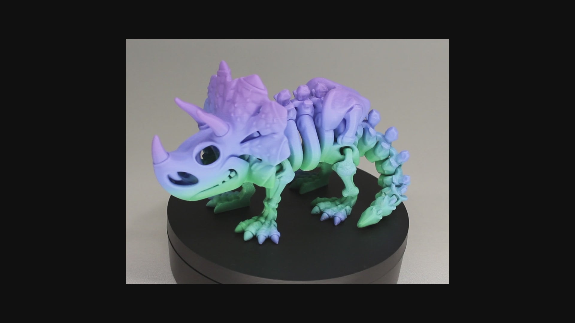 Triceratops - 3D Printed Dinosaur Skeleton Fidget Toy Flexible Joints