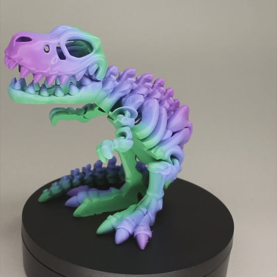 T-Rex 3D Printed Dinosaur Skeleton Fidget Toy Flexible Joints