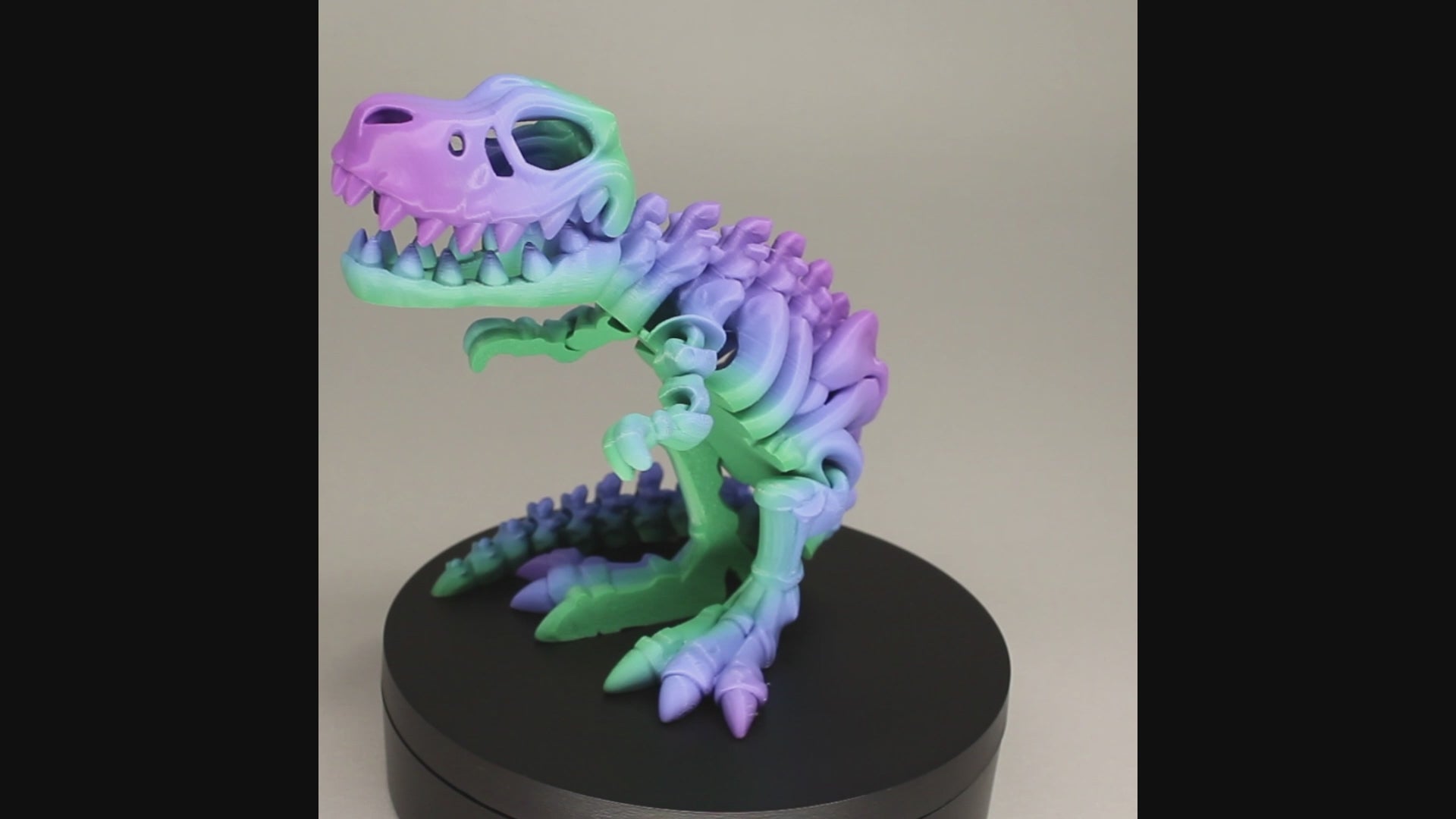 T-Rex 3D Printed Dinosaur Skeleton Fidget Toy Flexible Joints