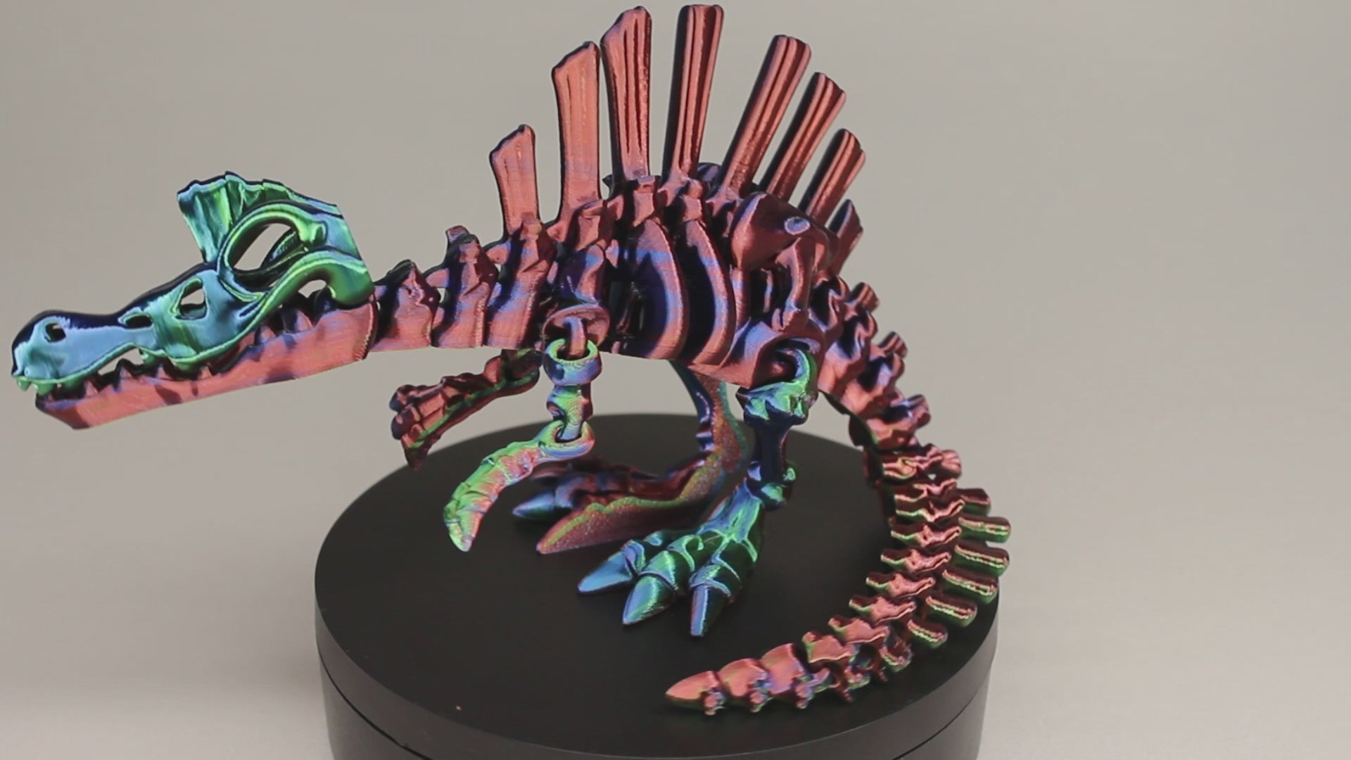 3D printed articulated Spinosaurus skeleton toy, pre-assembled, colorful, educational dinosaur figure