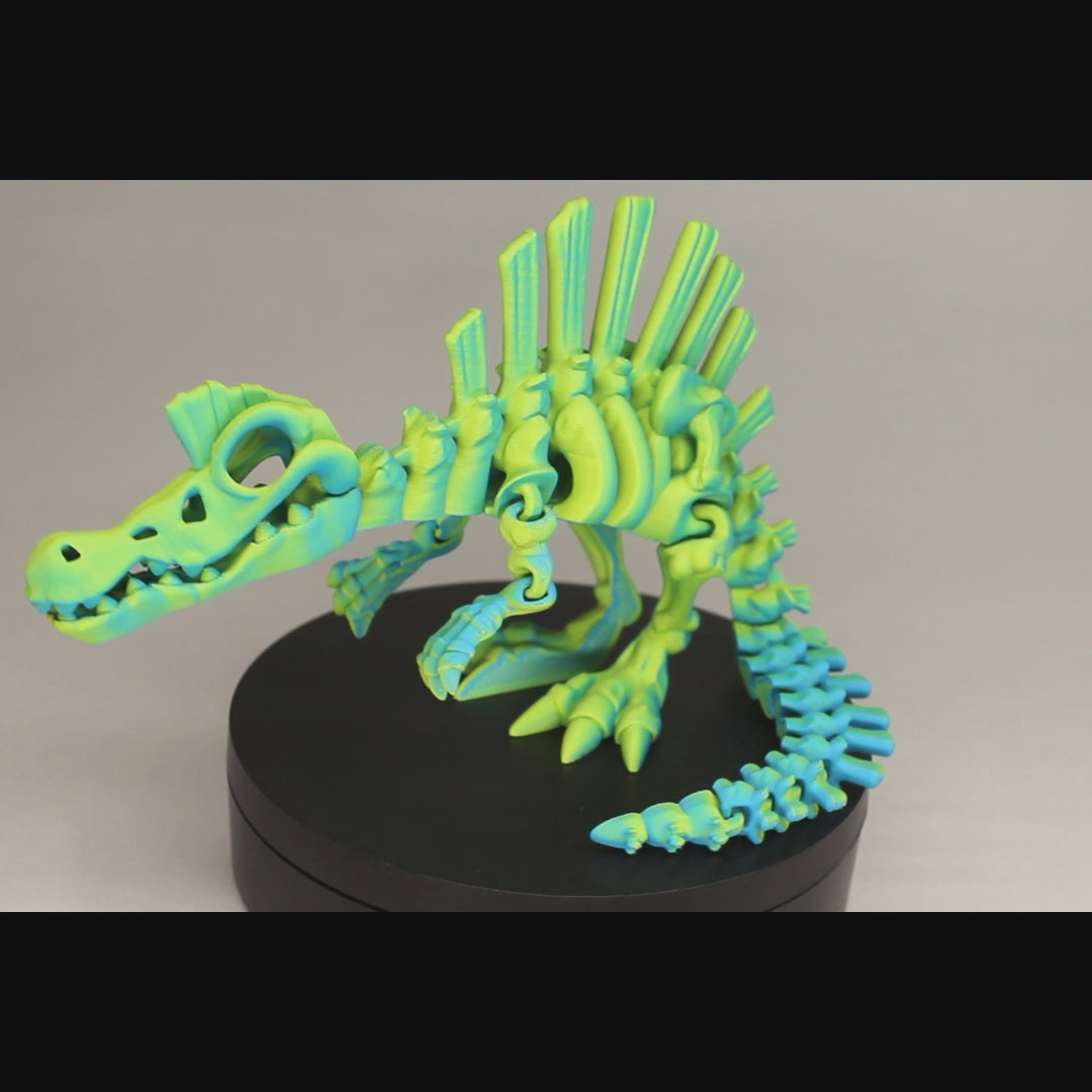 3D printed articulated Spinosaurus skeleton toy, pre-assembled, colorful, educational dinosaur figure